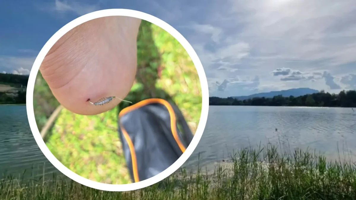 Eine Bildmontage auf 5min.at zeigt den Silbersee und einen Fuß, in dem ein Angelhaken steckt.