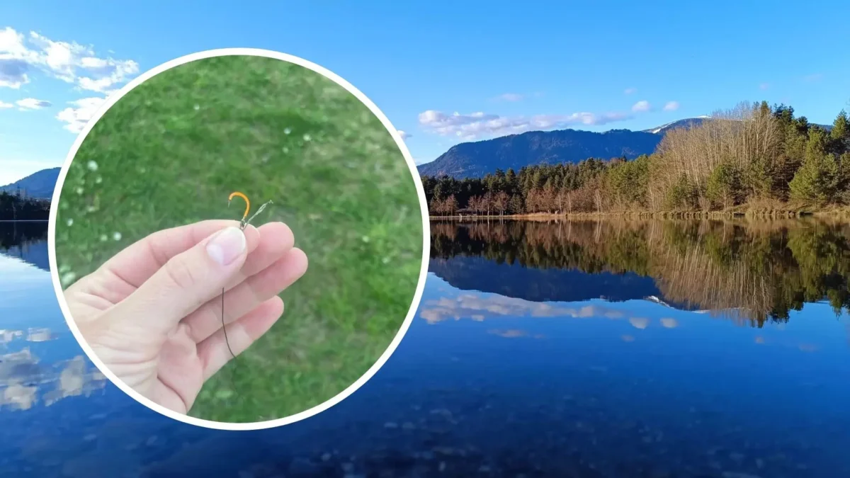 Das Bild auf 5min.at zeigt den Silbersee und eine Hand, die einen Angelhaken hält.