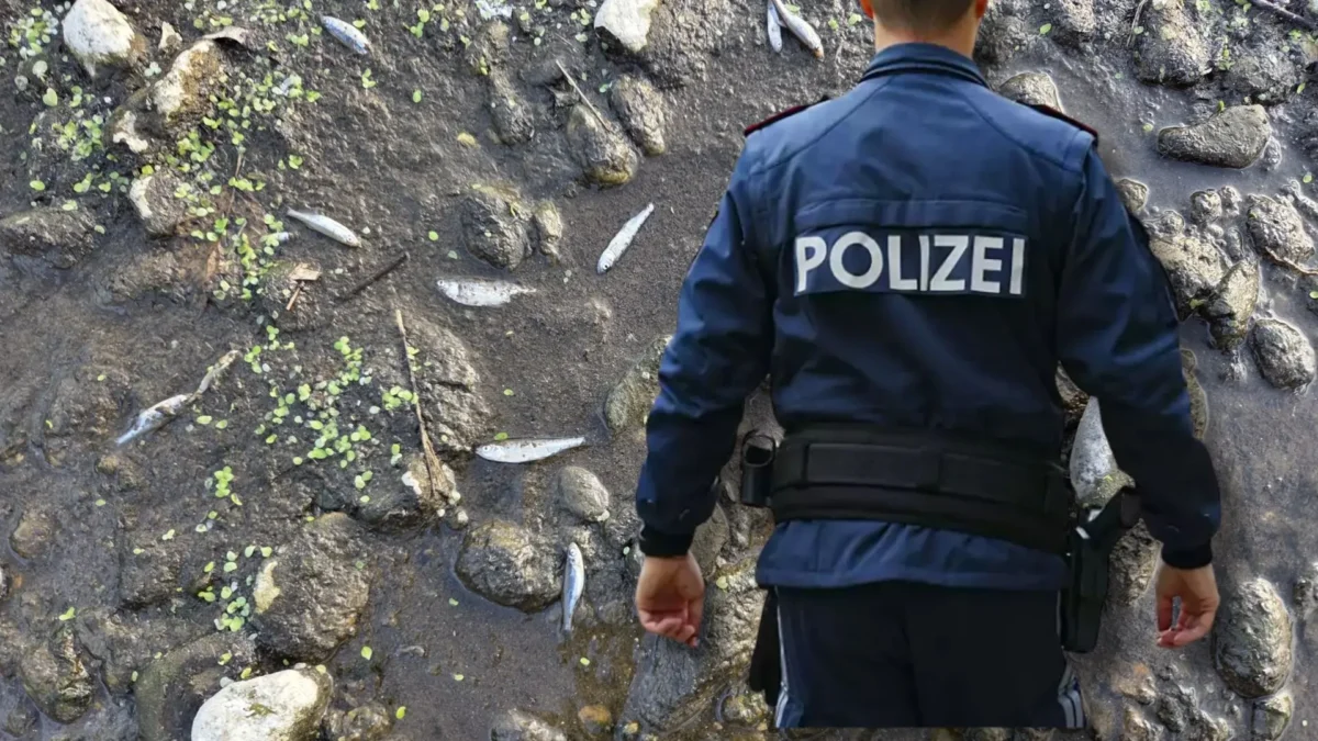 Das Bild auf 5min.at zeigt einen Polizisten und tote Fische.