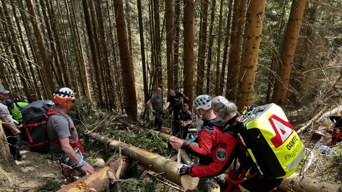 Auf dem Foto von www.5min.at sieht man einen Forstunfall.