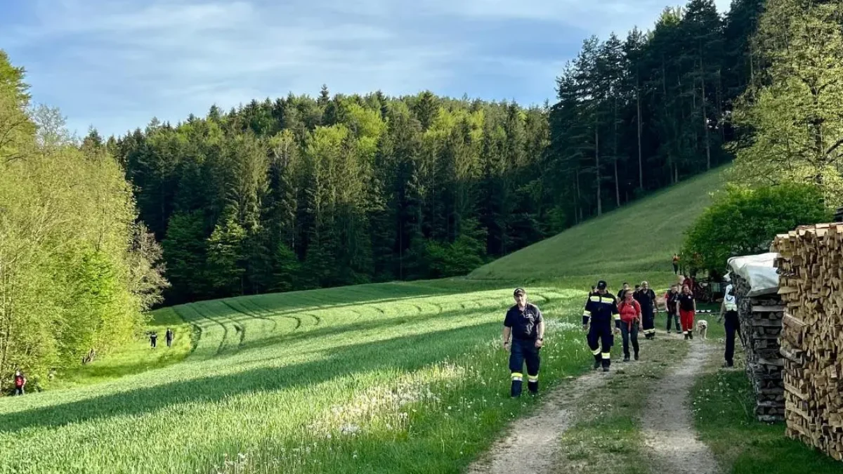 Das Bild auf 5min.at zeigt eine Suchaktion nach einer Jugendlicher.
